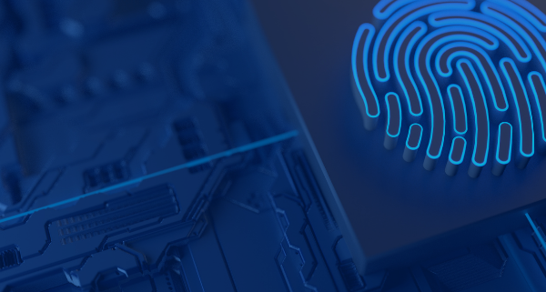 ciberseguridad